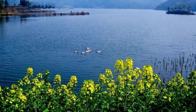 五一旅游最佳去处攻略（五一出游不想人挤人）(38)