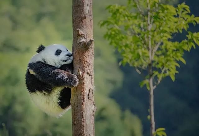 五一旅游最佳去处攻略（五一出游不想人挤人）(9)