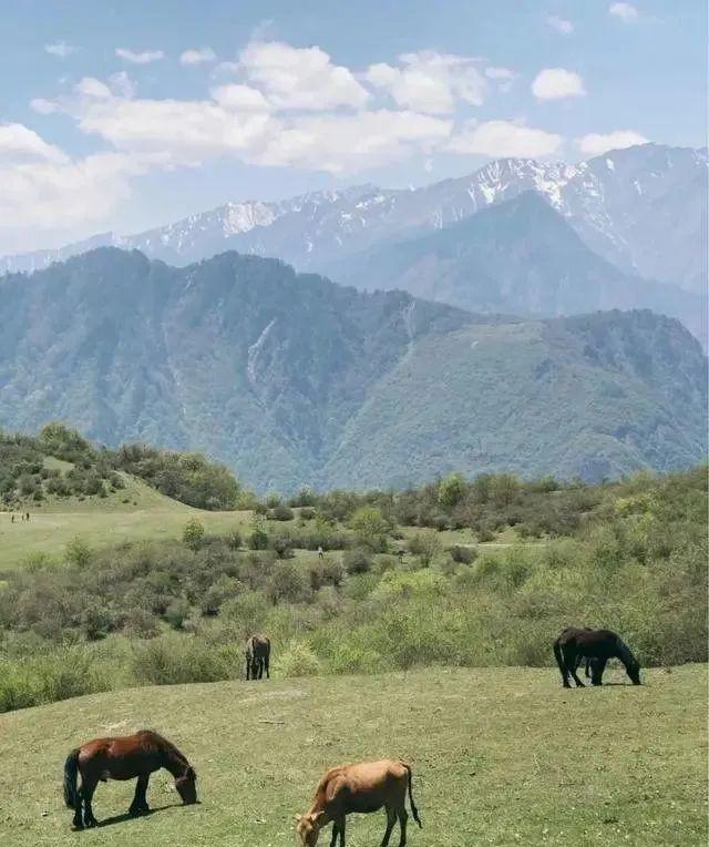 五一旅游最佳去处攻略（五一出游不想人挤人）(8)