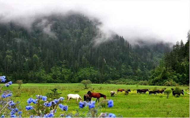 五一旅游最佳去处攻略（五一出游不想人挤人）(4)