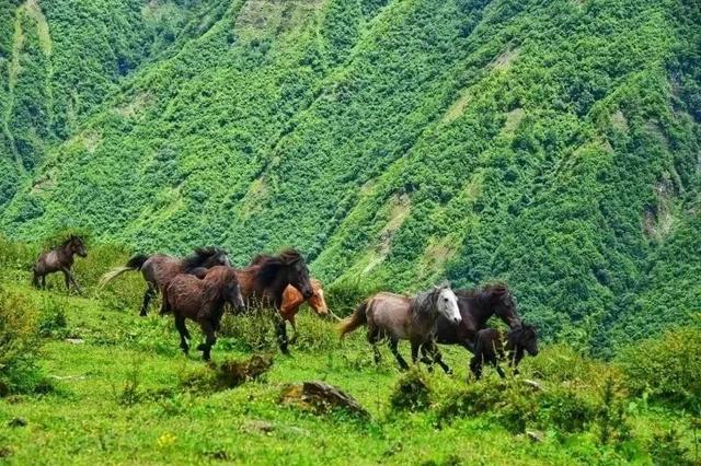 五一旅游最佳去处攻略（五一出游不想人挤人）(11)