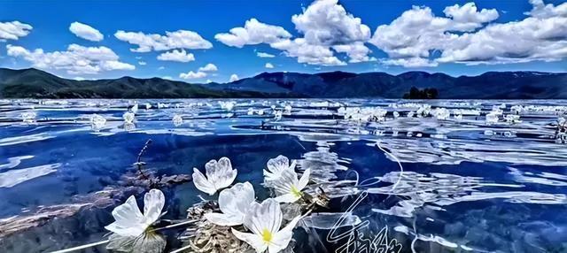 五一旅游最佳去处攻略（五一出游不想人挤人）(35)