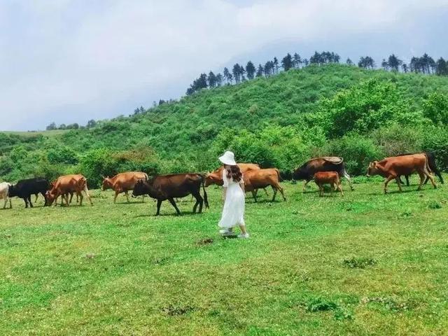 五一旅游最佳去处攻略（五一出游不想人挤人）(7)