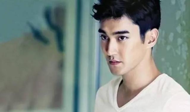 李天一到底是梦鸽和谁的孩子（梦鸽是我的挚爱）(27)