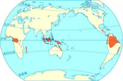 ​热带雨林气候主要分布在(热带雨林气候特征)