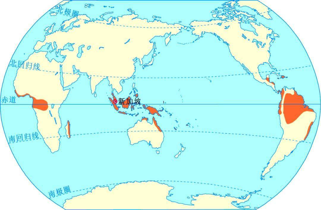 热带雨林气候主要分布在(热带雨林气候特征)