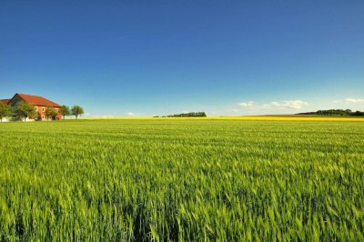 ​国家发展改革委鼓励民间资本投资现代设施农业