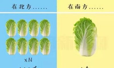 ​南北方有什么差异
