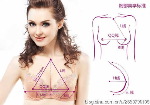 东方女性最标准的乳头图片 最美的胸应该什么样