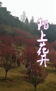​陌上花开缓缓归矣是什么意思(陌上花开缓缓归的意思)