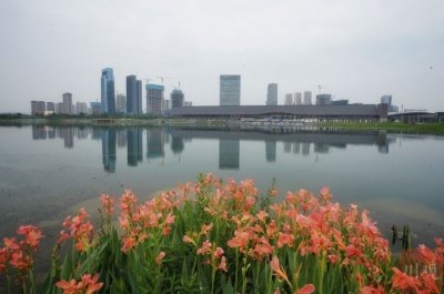 ​成都会议中心（天府国际会议中心图片分享）