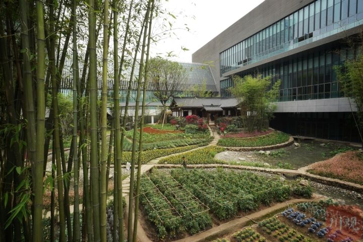 成都会议中心（天府国际会议中心图片分享）