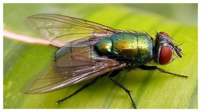 ​风水雅趣（431）：风水术中的“神煞”和“邪气”五十一