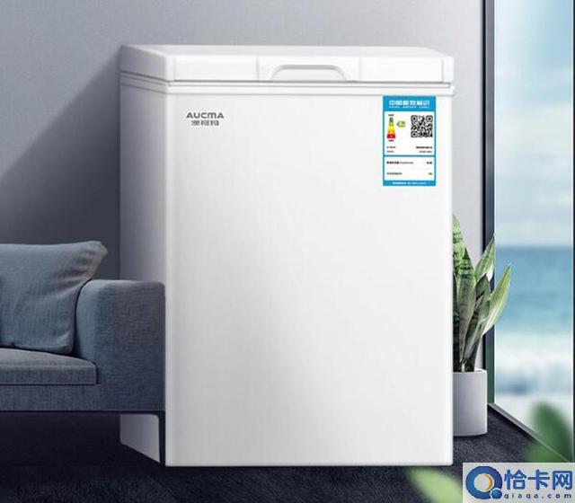 十款迷你小冷柜推荐(迷你小冰柜哪个牌子好)