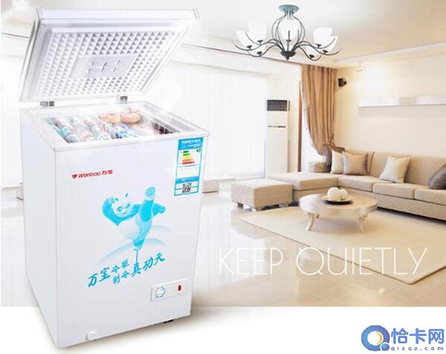十款迷你小冷柜推荐(迷你小冰柜哪个牌子好)