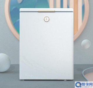 ​十款迷你小冷柜推荐(迷你小冰柜哪个牌子好)