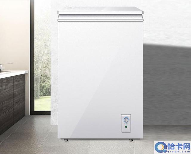 十款迷你小冷柜推荐(迷你小冰柜哪个牌子好)