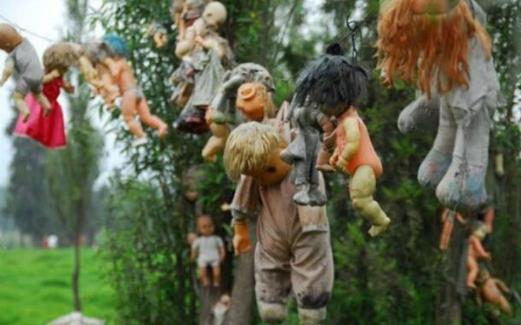 娃娃岛是不是真的存在 娃娃岛的来历