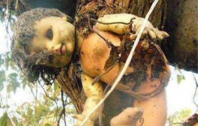 ​娃娃岛是不是真的存在 娃娃岛的来历