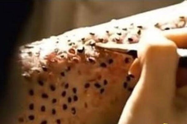 玉米男孩的故事 感觉后背痒把虫子抠出来