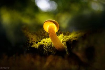 ​摩羯女和天秤男，天秤男与摩羯女般配吗