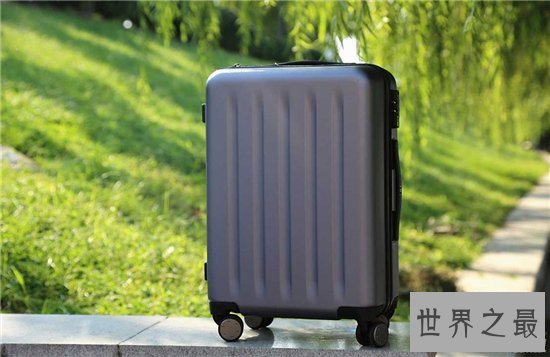 十大性价比最高的拉杆箱品牌 新秀丽成为当下最理想的首选