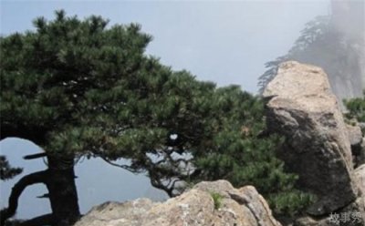 ​中国十大爬山好去处，黄山被誉为人间仙境(海拔1864米)