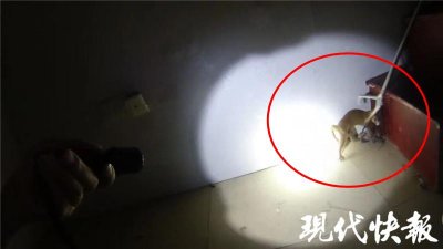 ​闲置空房里传出敲打声邻居吓得报警，竟是……