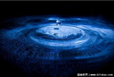 ​水珠为什么是圆的，水分子的吸引力和表面张力所造成的