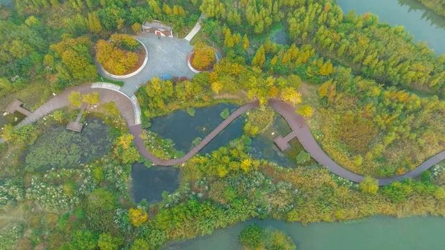 武汉森林公园里有哪些有趣的景点（周末不远游来湖北20个）(8)