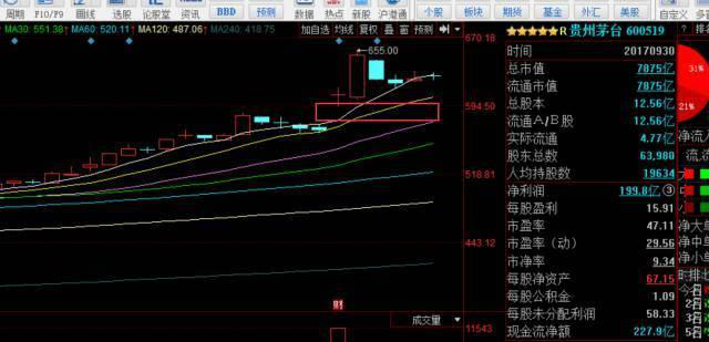 十字星是什么意思_十字星的形态特征