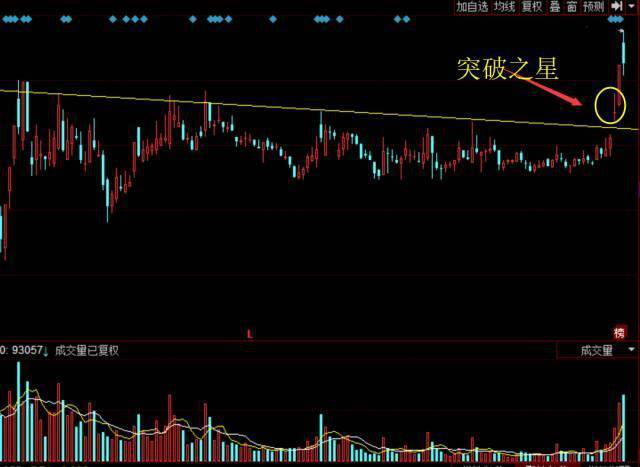 十字星是什么意思_十字星的形态特征