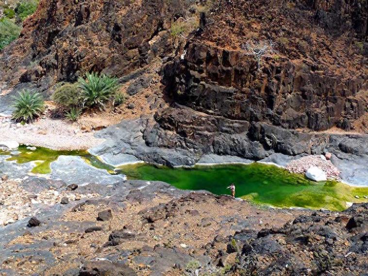 世界自然遗产 也门索科特拉岛 地球上最像外星球的奇幻之地