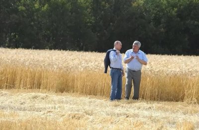 ​欧美发动“种子战争”，德国出手，印度拆台，中国种子或弯道超车