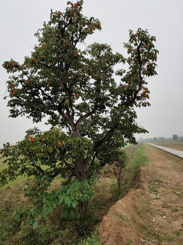 山西襄汾风景（襄汾印象襄汾游历）(9)