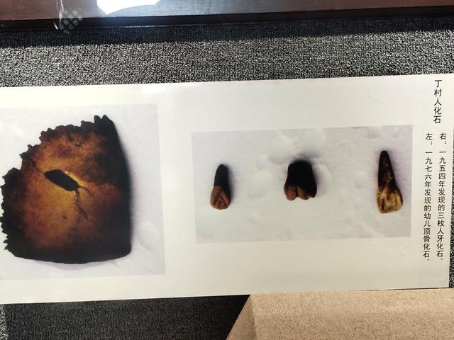 山西襄汾风景（襄汾印象襄汾游历）(15)