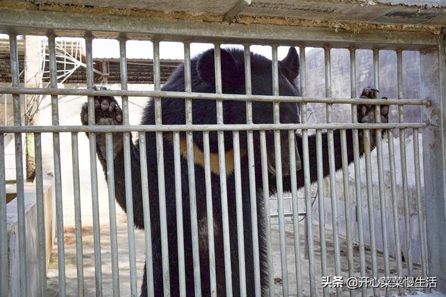 潮州旅游攻略2天一晚自驾游（盘点潮州19个旅游景点）(31)