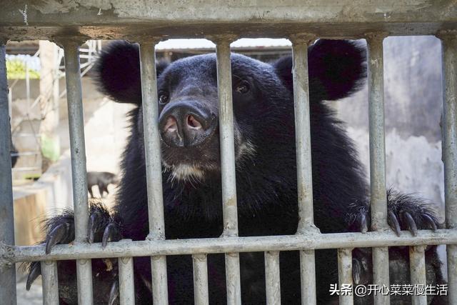 潮州旅游攻略2天一晚自驾游（盘点潮州19个旅游景点）(32)