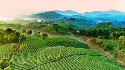 ​图赏 | 安吉：美丽竹乡，振兴图景