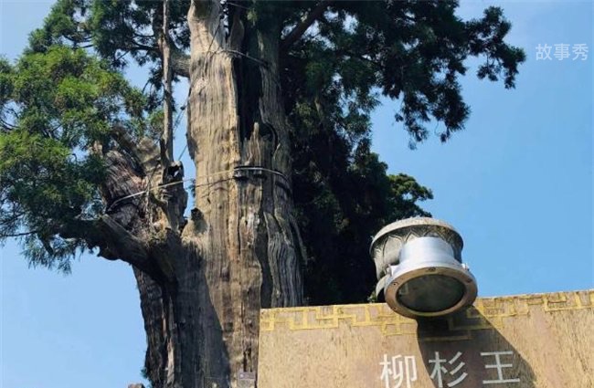 网络图片(侵删)