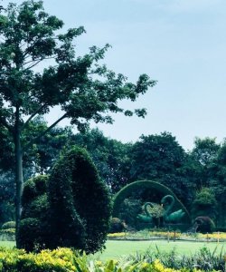 ​厦门最大的公园——五缘湾湿地公园