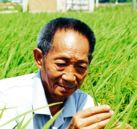 袁隆平是哪里人（知识科普杂交水稻之父的人生简介）