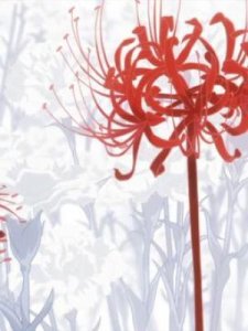 ​金木研黑色死神(金木研黑色死神漫画中在哪一篇)