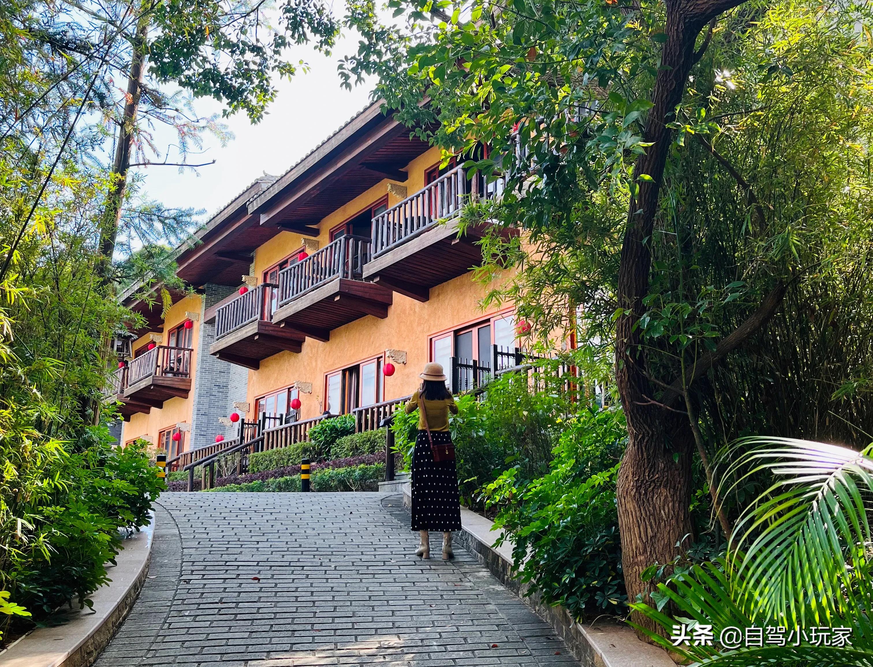 罗浮山旅游攻略(惠州罗浮山一日游最佳攻略)-图8