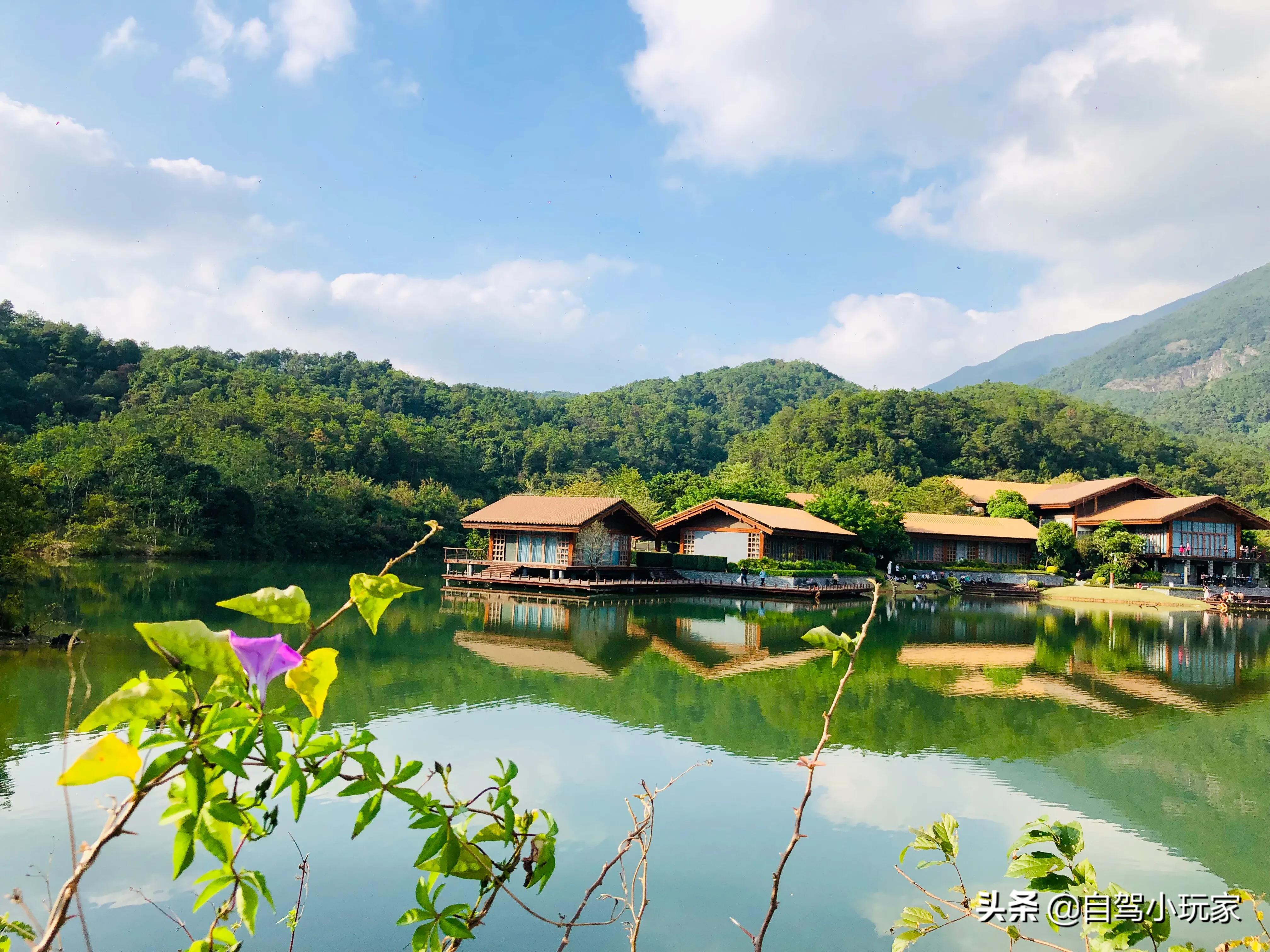 罗浮山旅游攻略(惠州罗浮山一日游最佳攻略)-图1