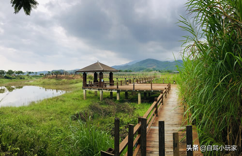 罗浮山旅游攻略(惠州罗浮山一日游最佳攻略)-图11