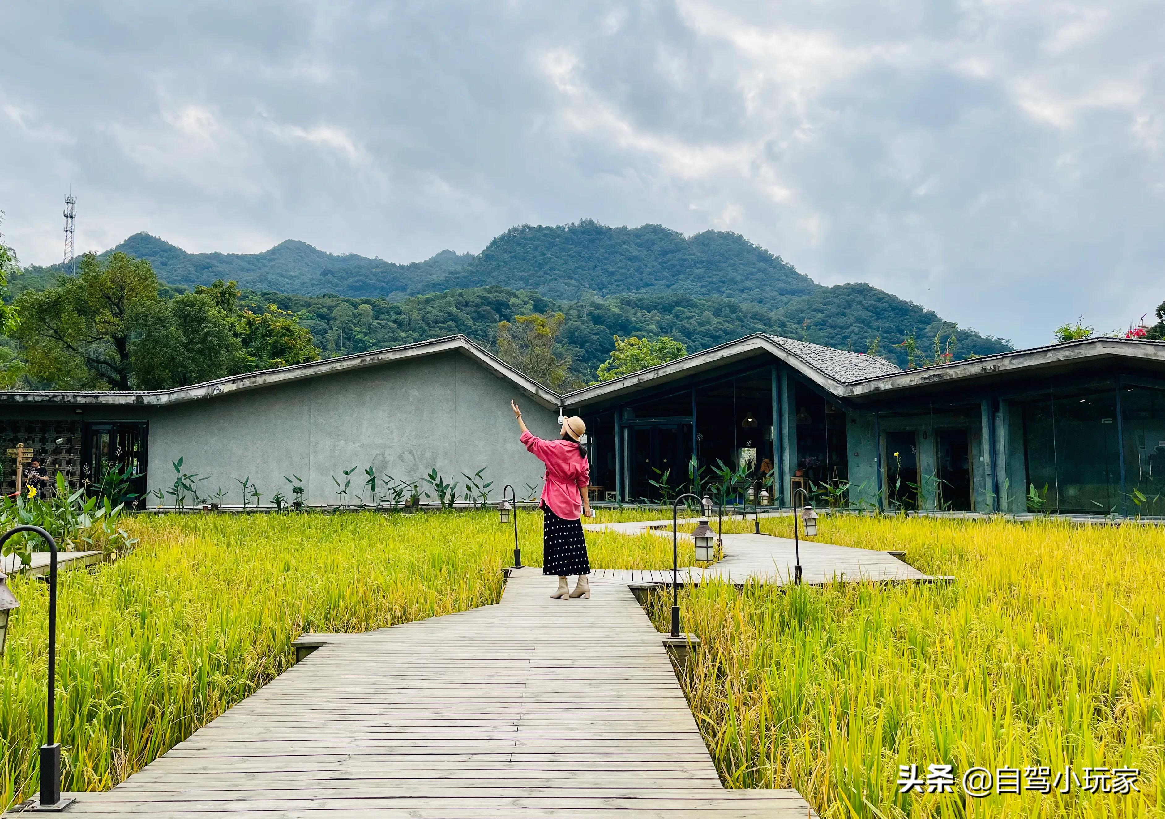 罗浮山旅游攻略(惠州罗浮山一日游最佳攻略)-图14