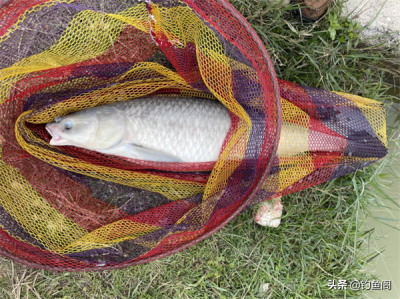 ​钓大物调漂的正确方法（最简单实用的3种调漂方法）