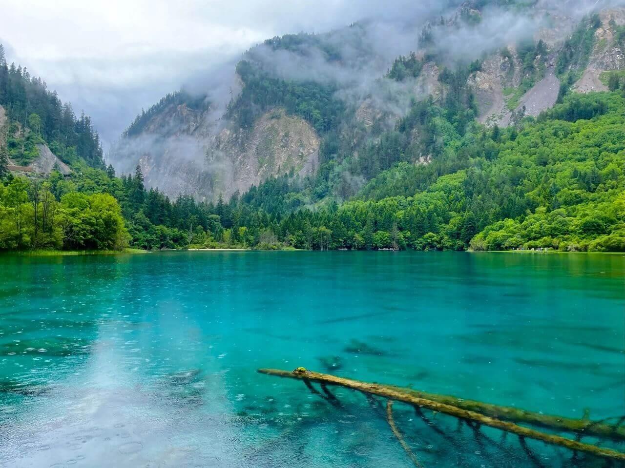 去成都玩5天大概需要多少钱(成都五天四晚旅游费用)