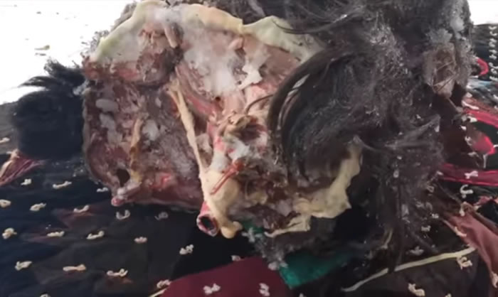 美国男子Peter Caine声称拥有大脚怪头颅